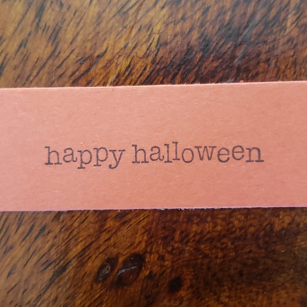 50 Piece Shipping Bundle • Halloween Black Cat • Polymailers Cards & Stickers